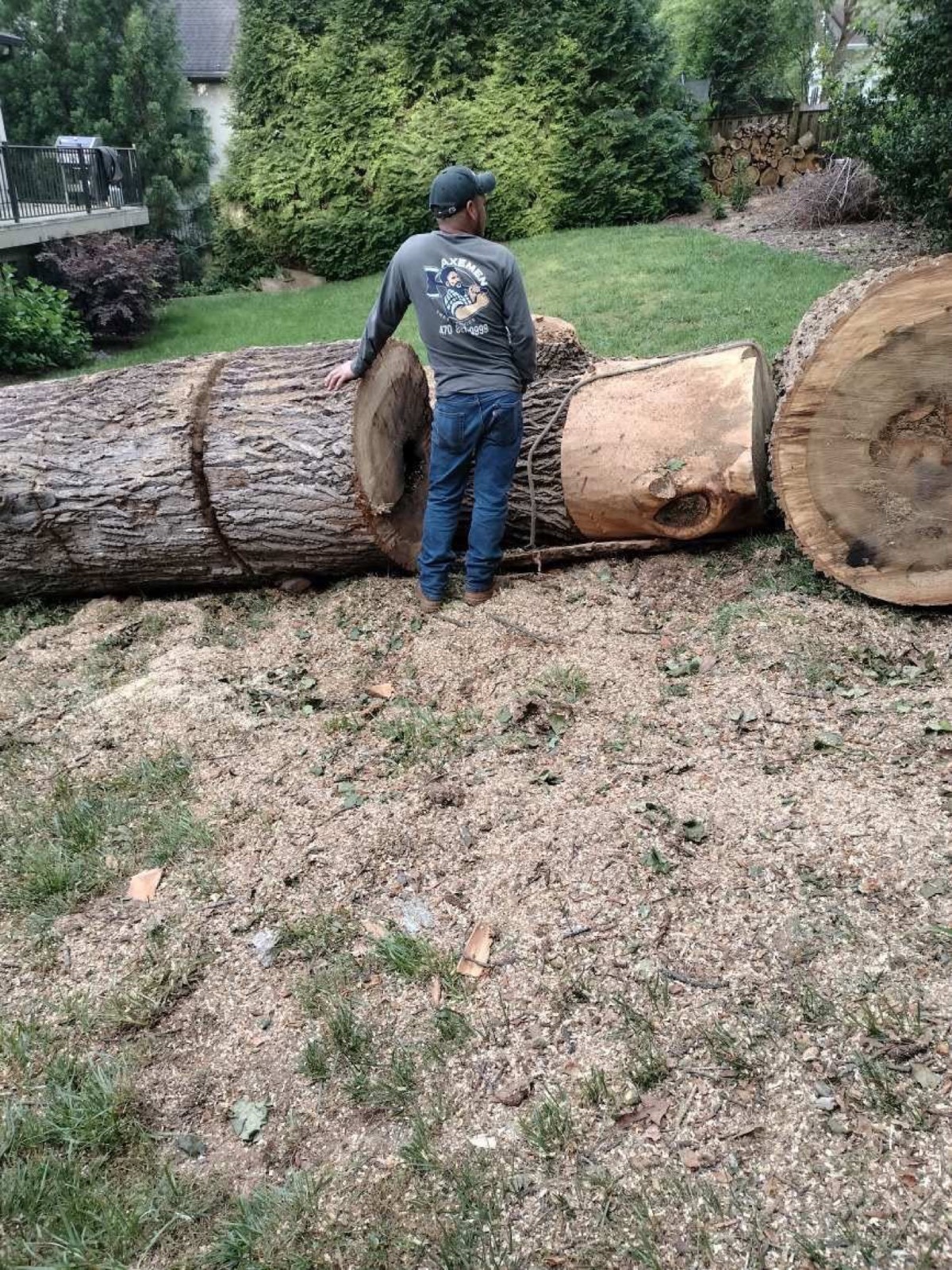 A large tree cut into sections during a removal job