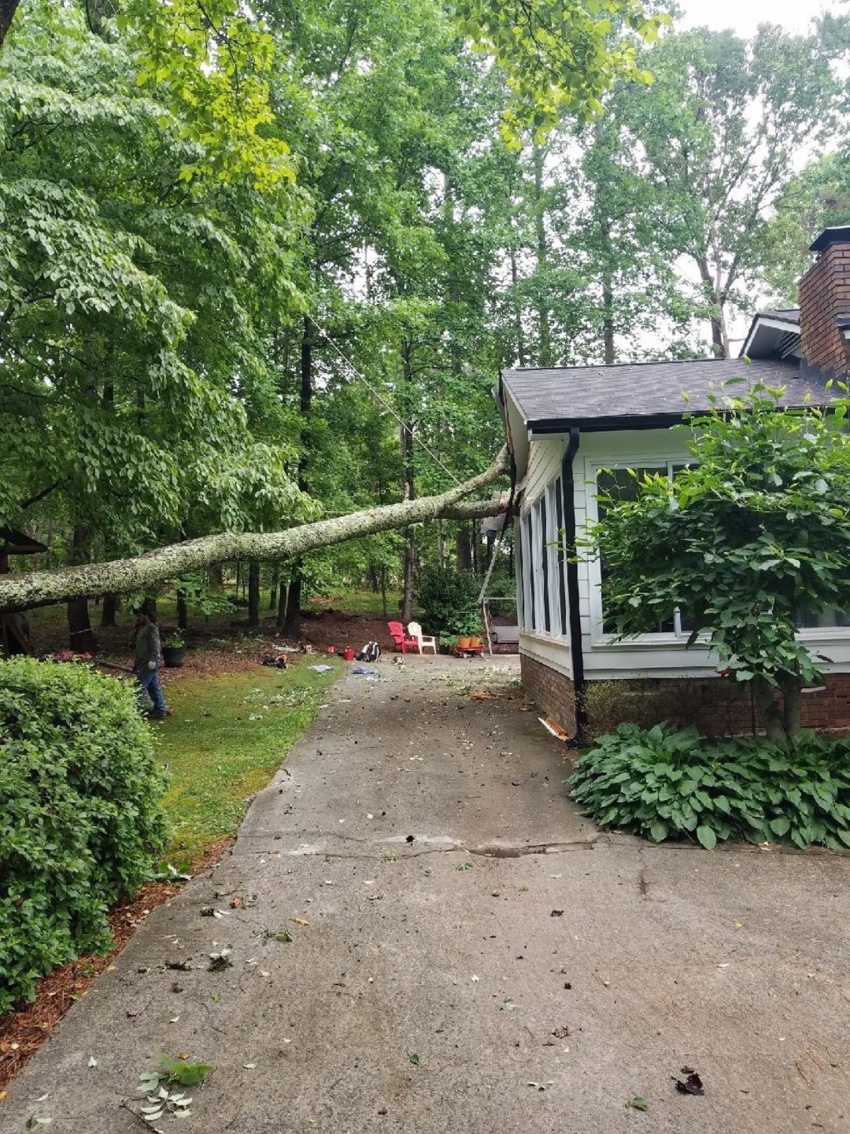 A large tree that fell on a home's sunroom during a storm