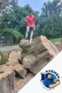 Axemen is a tree service company serving Sandy Springs GA, too.